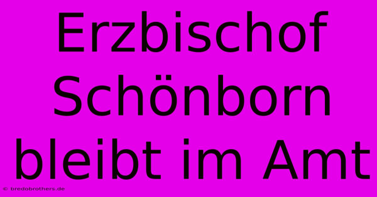 Erzbischof Schönborn Bleibt Im Amt