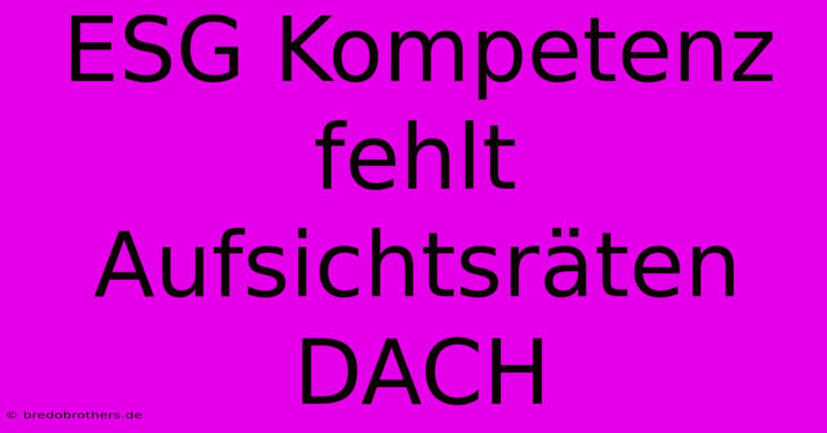 ESG Kompetenz Fehlt Aufsichtsräten DACH