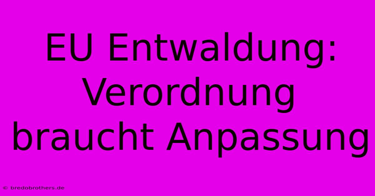 EU Entwaldung: Verordnung Braucht Anpassung