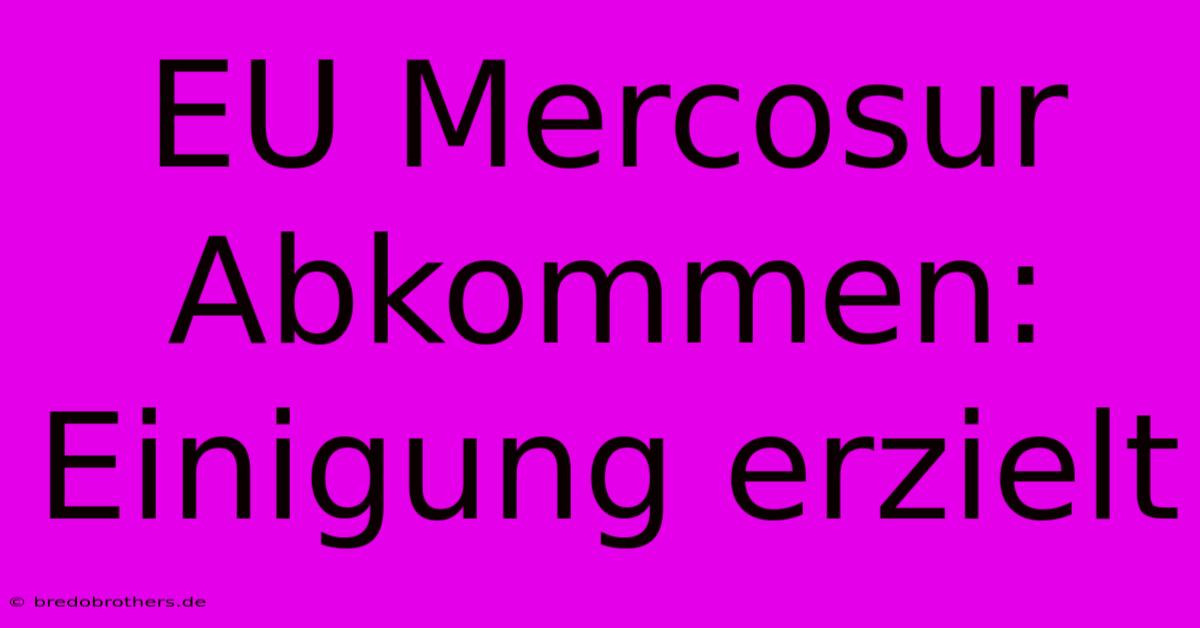 EU Mercosur Abkommen: Einigung Erzielt