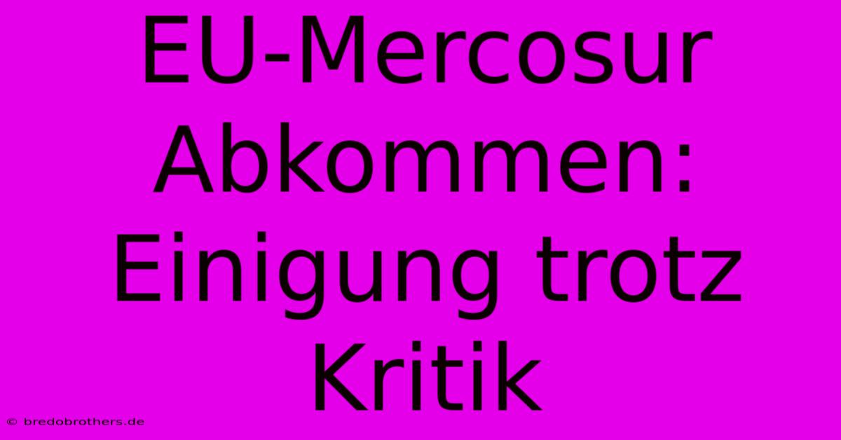 EU-Mercosur Abkommen: Einigung Trotz Kritik