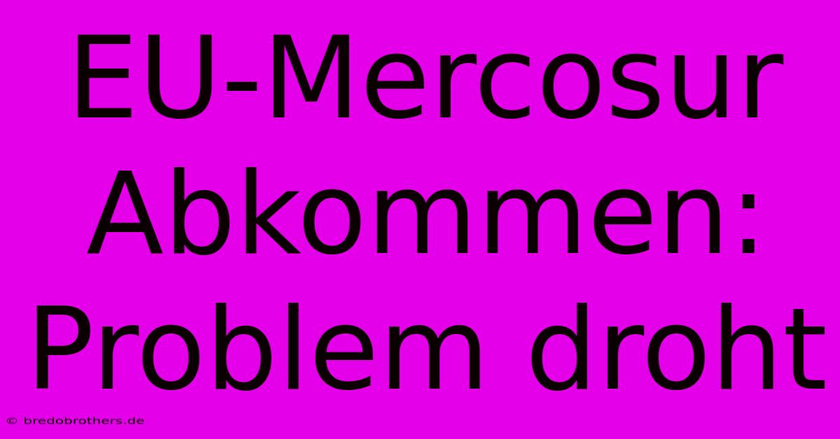 EU-Mercosur Abkommen:  Problem Droht