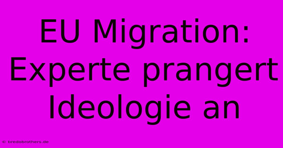 EU Migration: Experte Prangert Ideologie An