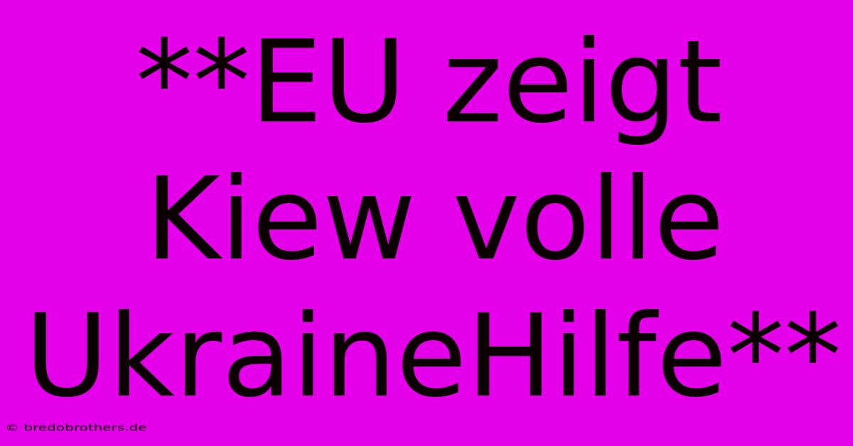 **EU Zeigt Kiew Volle UkraineHilfe**