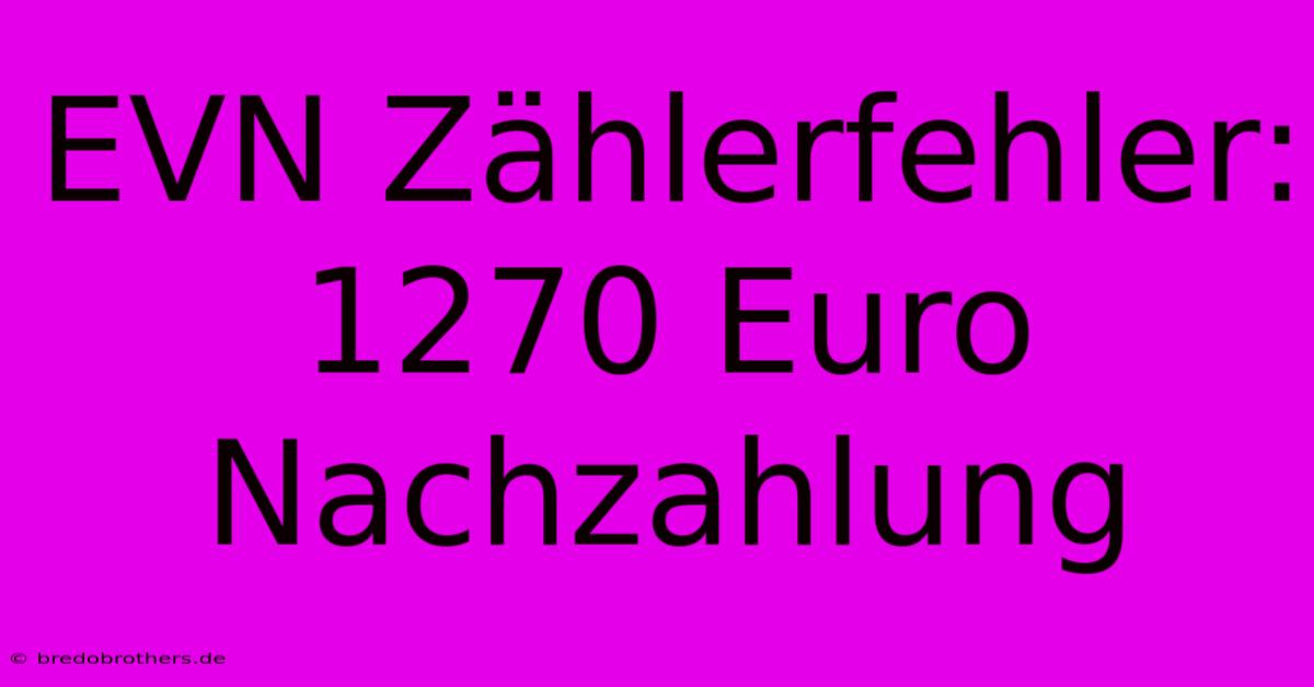 EVN Zählerfehler: 1270 Euro Nachzahlung