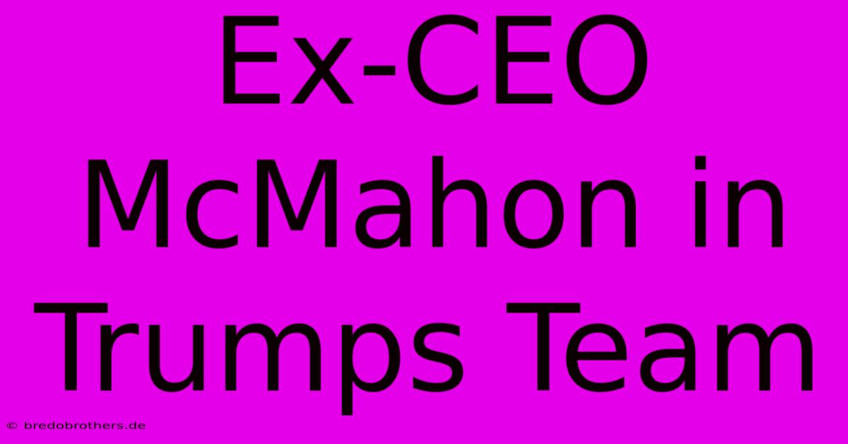 Ex-CEO McMahon In Trumps Team