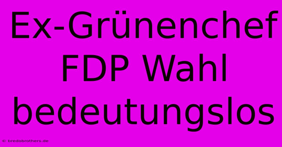 Ex-Grünenchef FDP Wahl Bedeutungslos