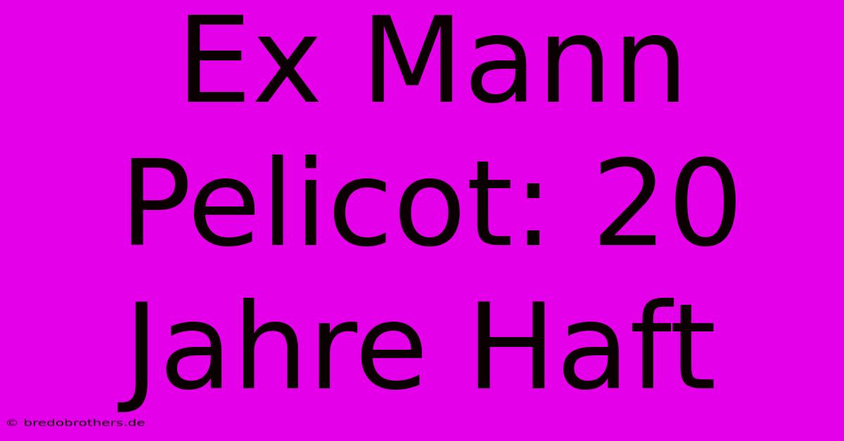 Ex Mann Pelicot: 20 Jahre Haft