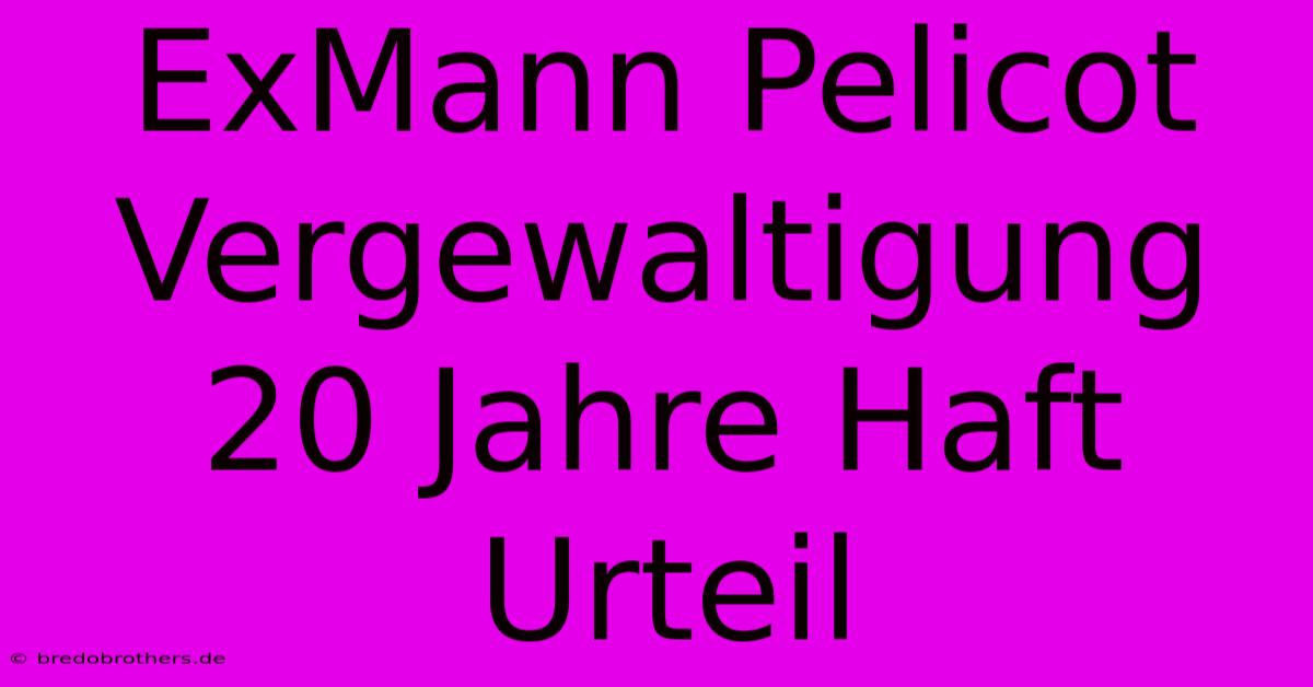 ExMann Pelicot Vergewaltigung 20 Jahre Haft Urteil