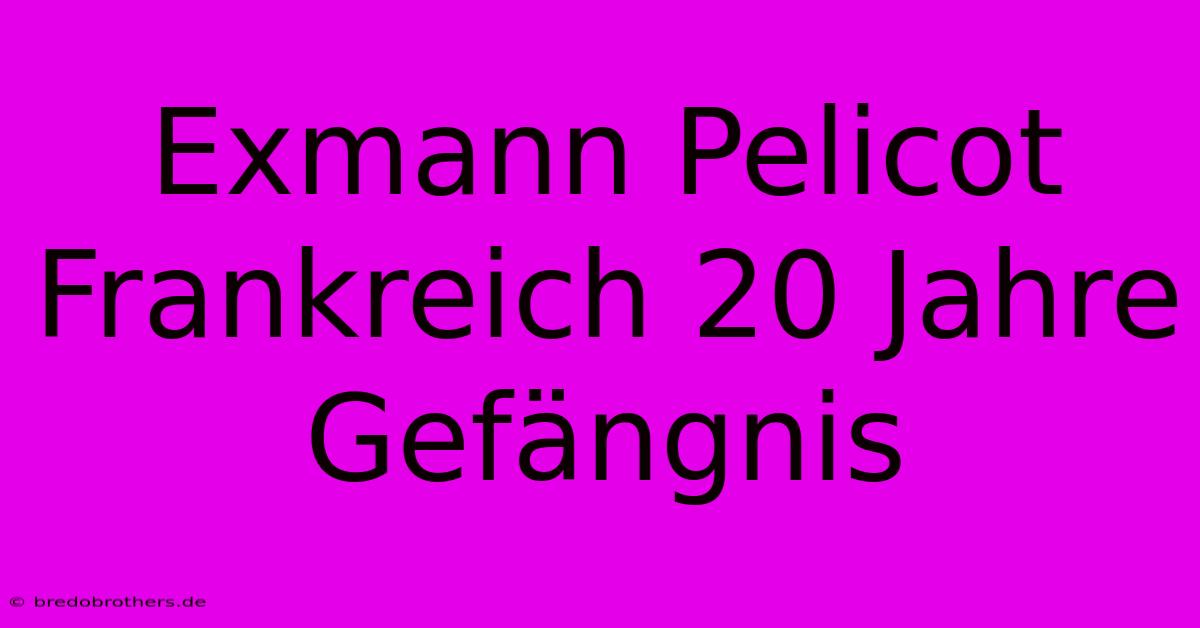 Exmann Pelicot Frankreich 20 Jahre Gefängnis