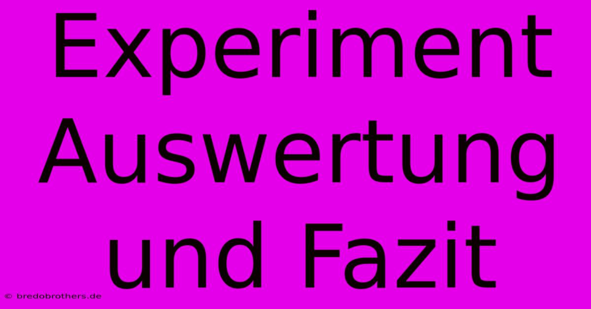 Experiment Auswertung  Und Fazit