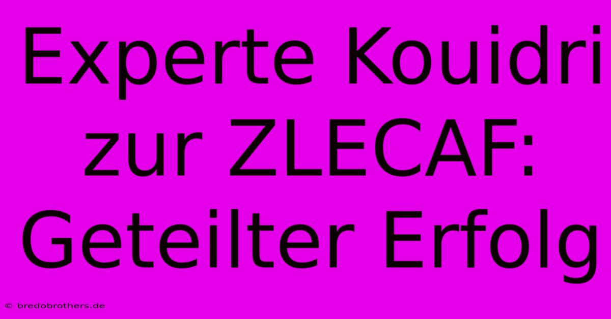 Experte Kouidri Zur ZLECAF: Geteilter Erfolg