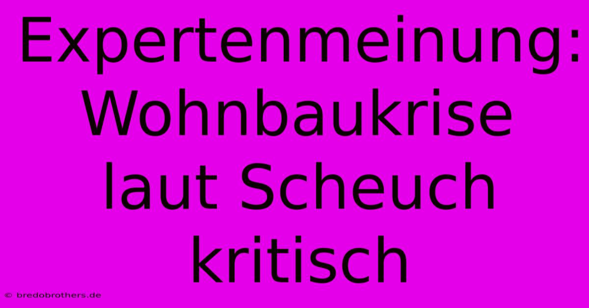 Expertenmeinung: Wohnbaukrise Laut Scheuch Kritisch