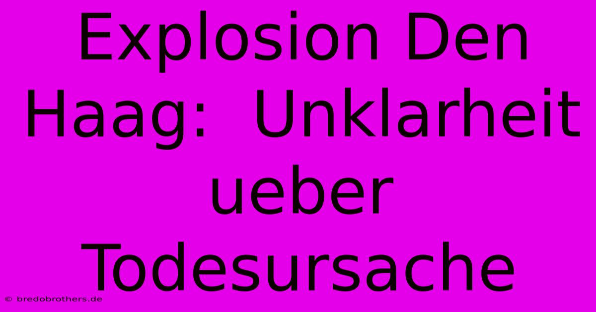 Explosion Den Haag:  Unklarheit Ueber Todesursache