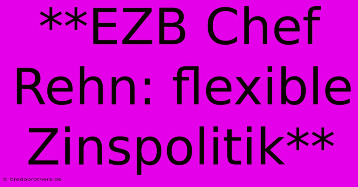 **EZB Chef Rehn: Flexible Zinspolitik**