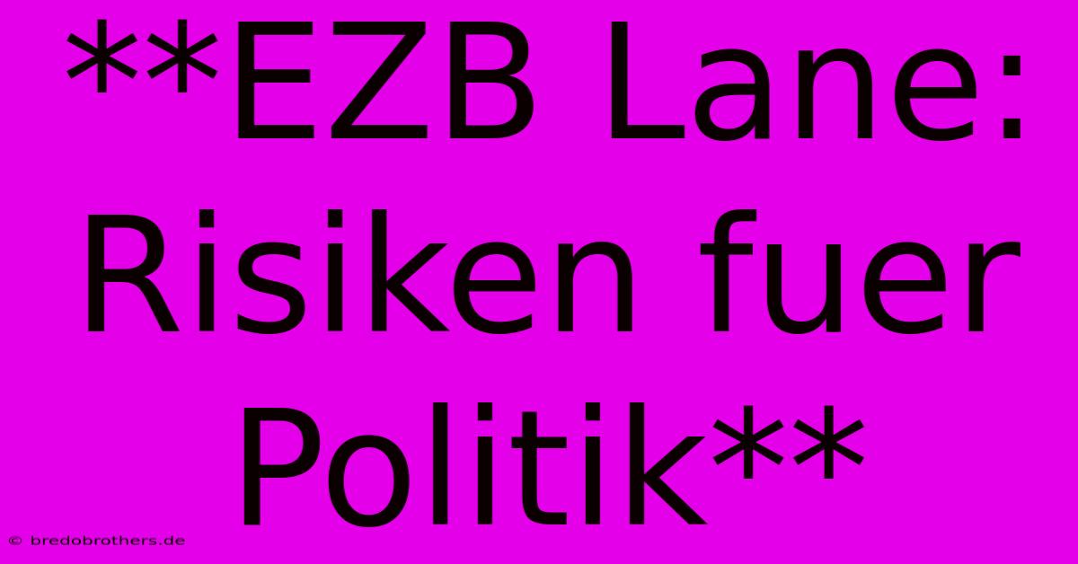 **EZB Lane: Risiken Fuer Politik**