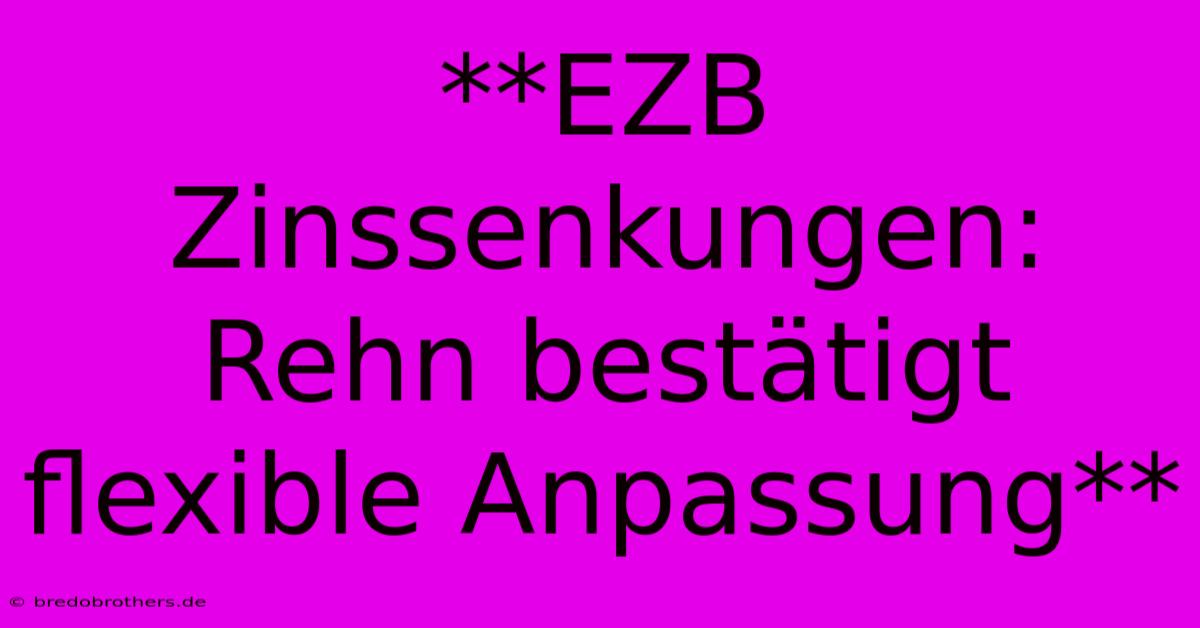 **EZB Zinssenkungen: Rehn Bestätigt Flexible Anpassung**