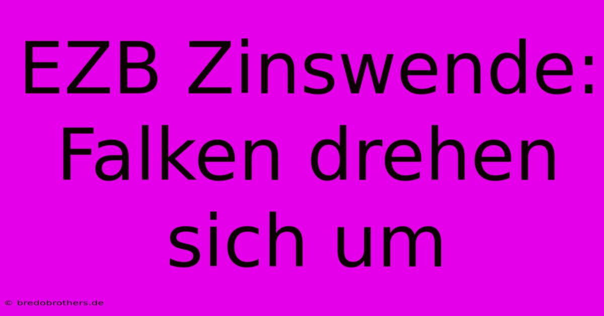 EZB Zinswende: Falken Drehen Sich Um