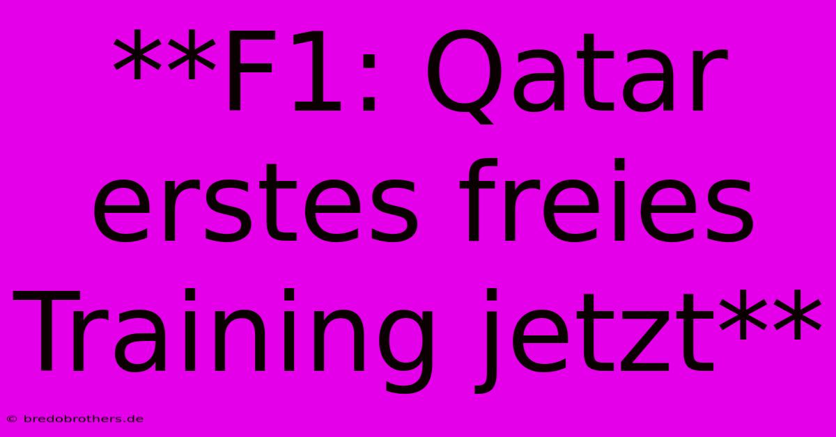 **F1: Qatar Erstes Freies Training Jetzt**