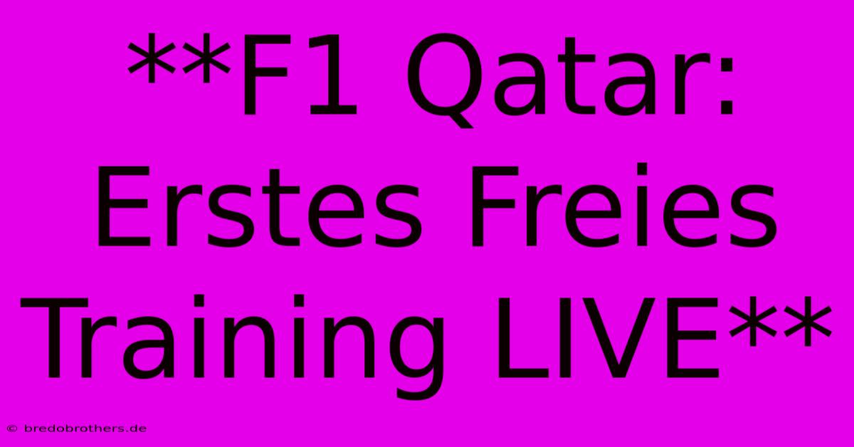 **F1 Qatar: Erstes Freies Training LIVE**