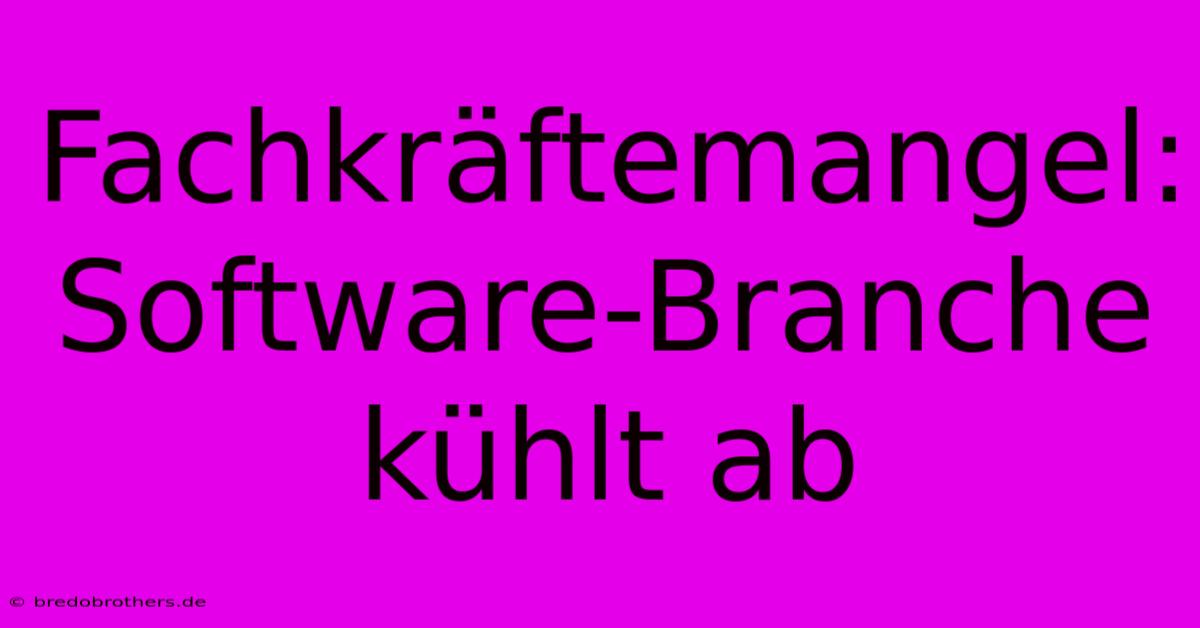 Fachkräftemangel: Software-Branche Kühlt Ab