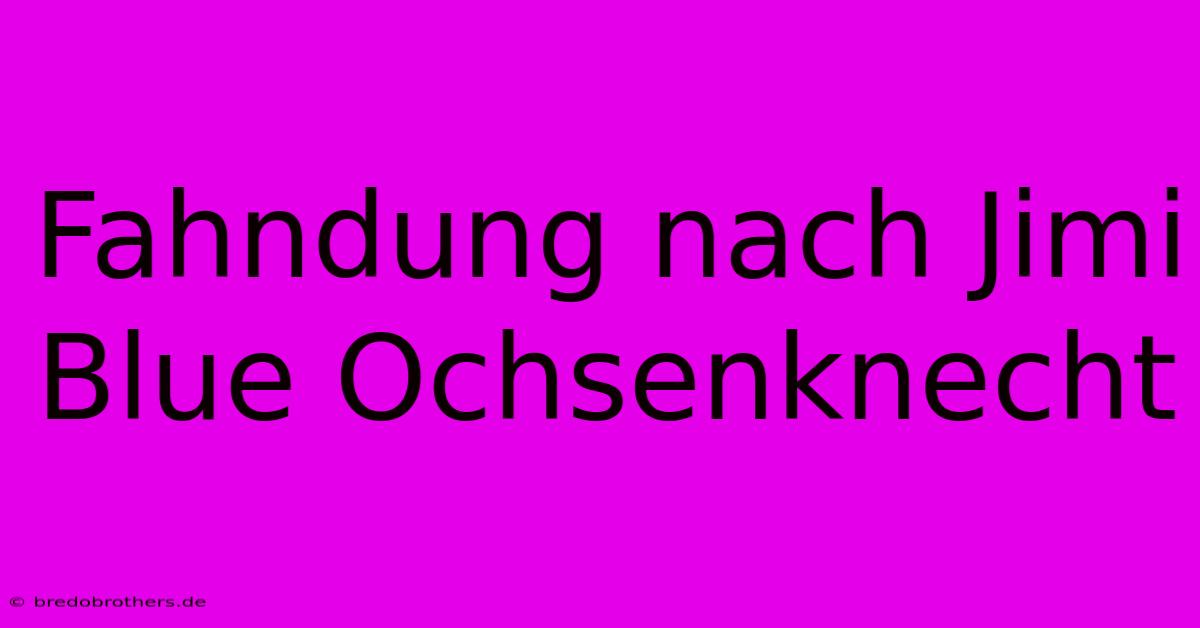 Fahndung Nach Jimi Blue Ochsenknecht