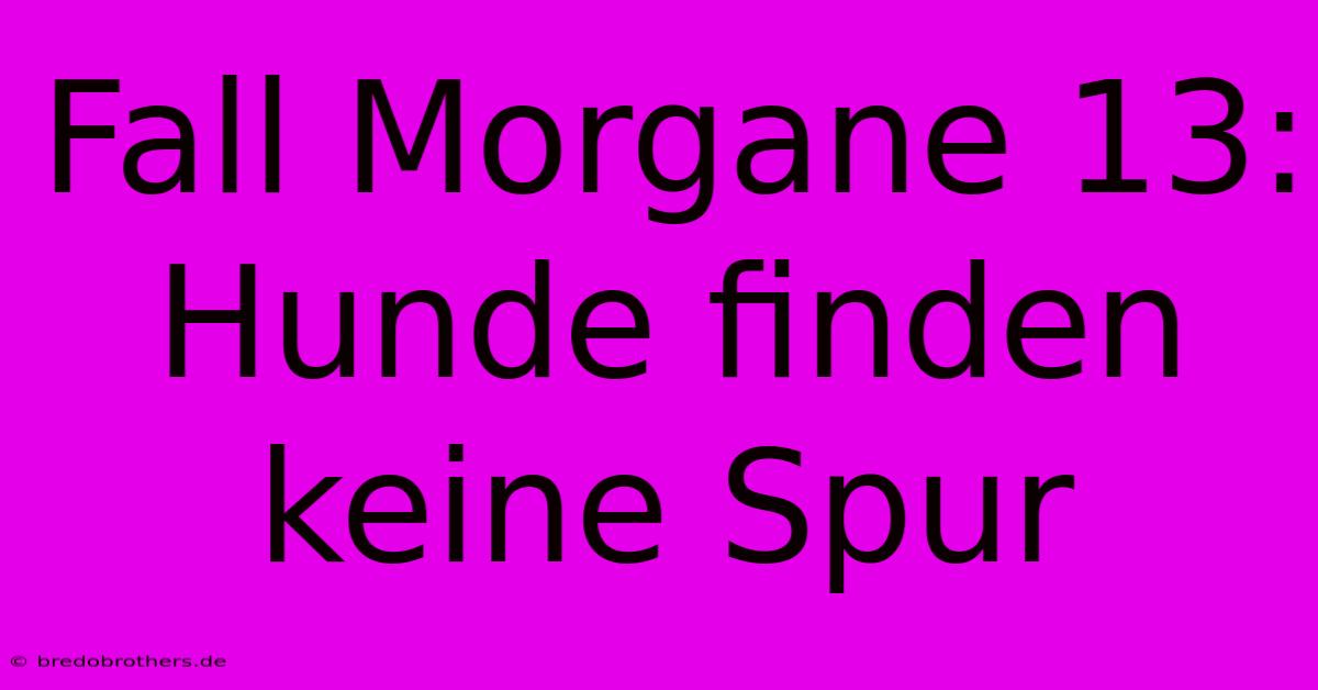 Fall Morgane 13: Hunde Finden Keine Spur