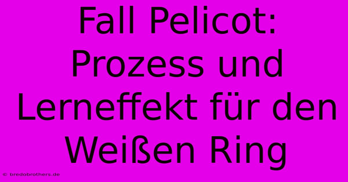 Fall Pelicot: Prozess Und Lerneffekt Für Den Weißen Ring