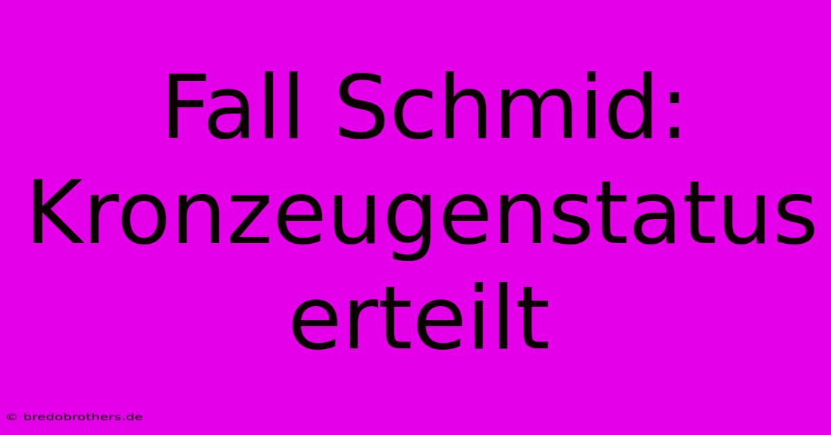 Fall Schmid: Kronzeugenstatus Erteilt