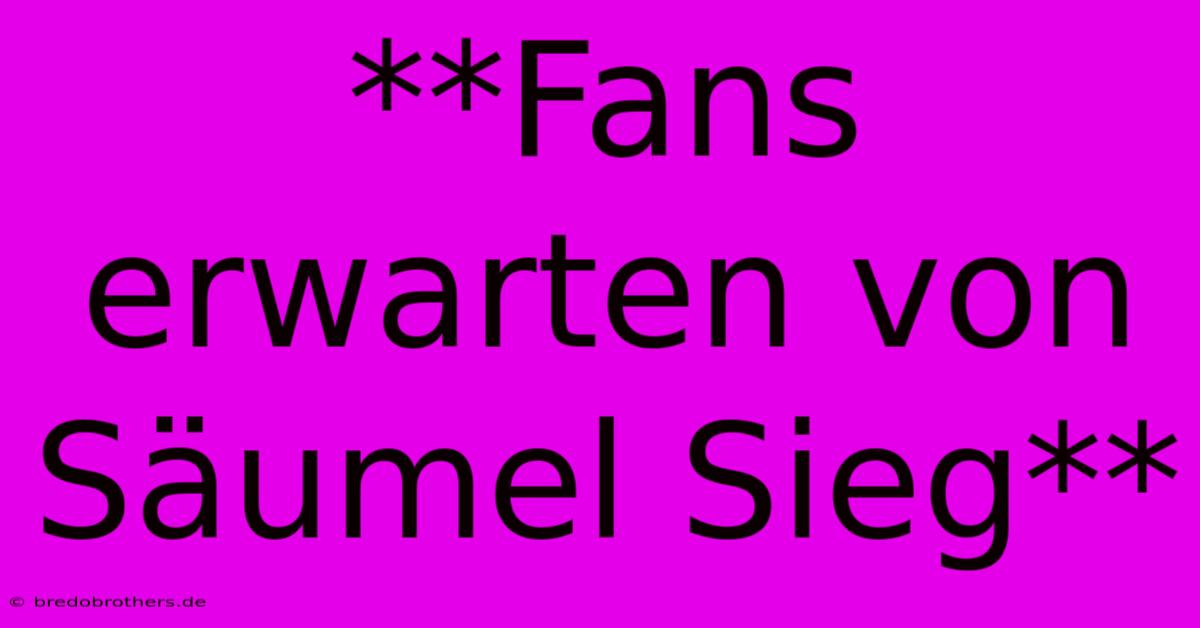 **Fans Erwarten Von Säumel Sieg**