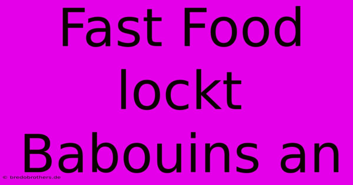 Fast Food Lockt Babouins An