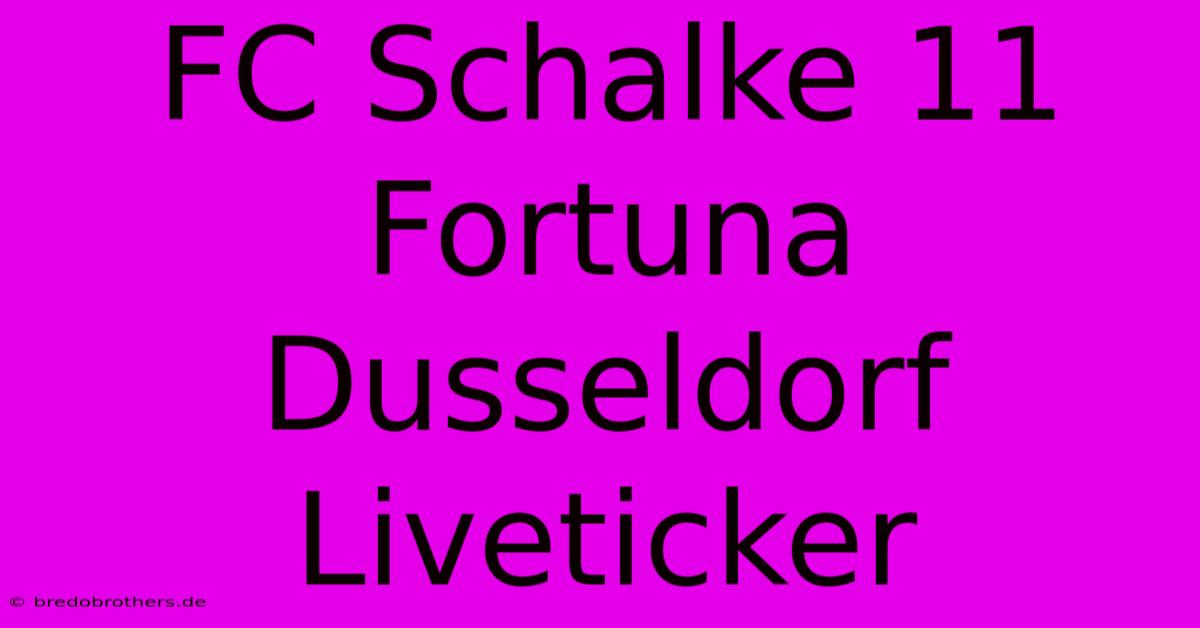 FC Schalke 11 Fortuna Dusseldorf Liveticker