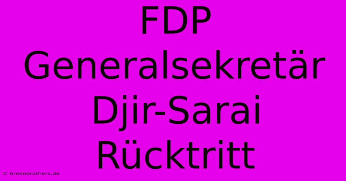 FDP Generalsekretär Djir-Sarai Rücktritt