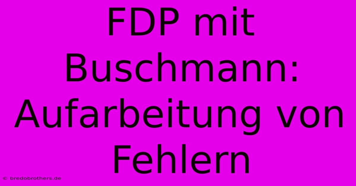 FDP Mit Buschmann: Aufarbeitung Von Fehlern