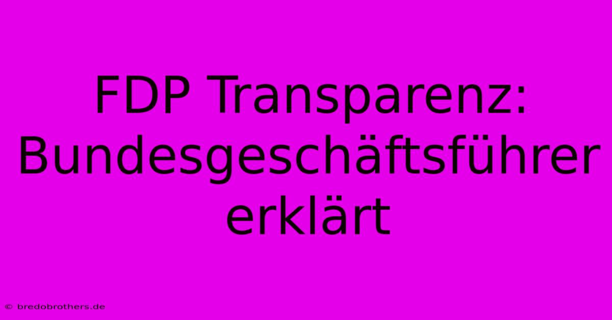 FDP Transparenz: Bundesgeschäftsführer Erklärt