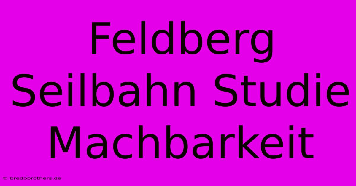 Feldberg Seilbahn Studie Machbarkeit