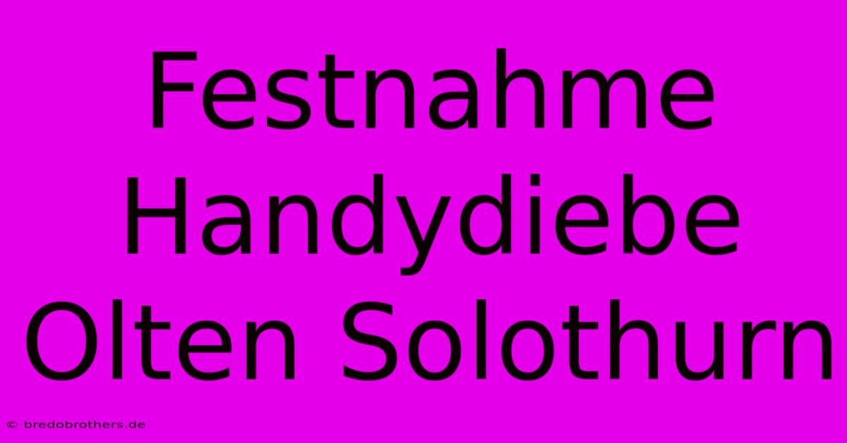 Festnahme Handydiebe Olten Solothurn