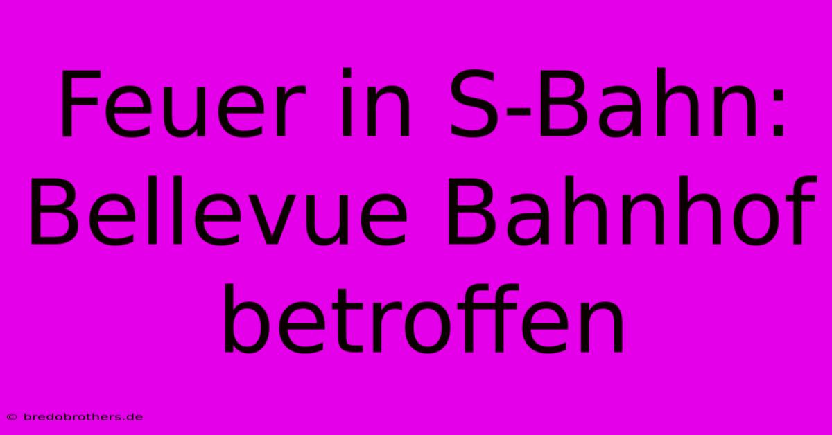 Feuer In S-Bahn: Bellevue Bahnhof Betroffen