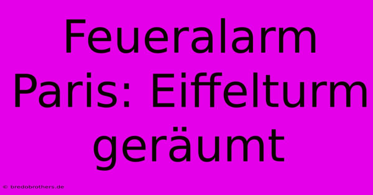 Feueralarm Paris: Eiffelturm Geräumt