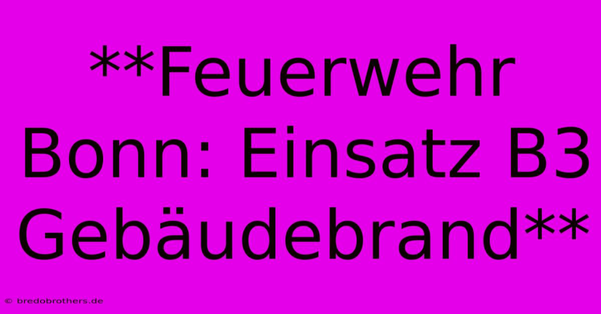 **Feuerwehr Bonn: Einsatz B3 Gebäudebrand**