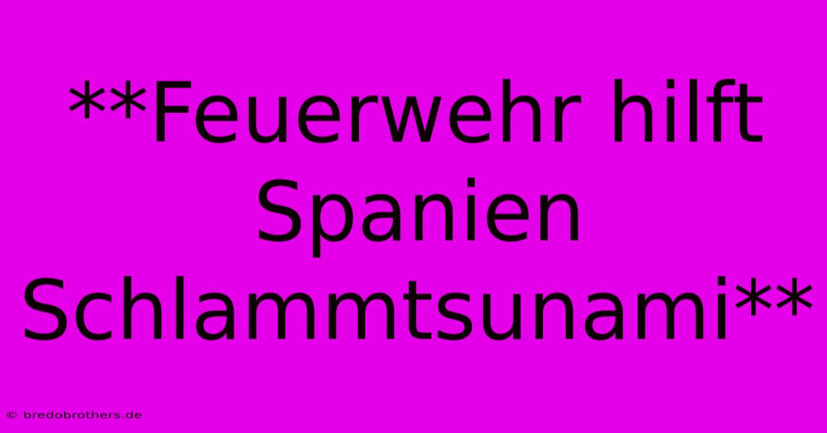 **Feuerwehr Hilft Spanien Schlammtsunami**