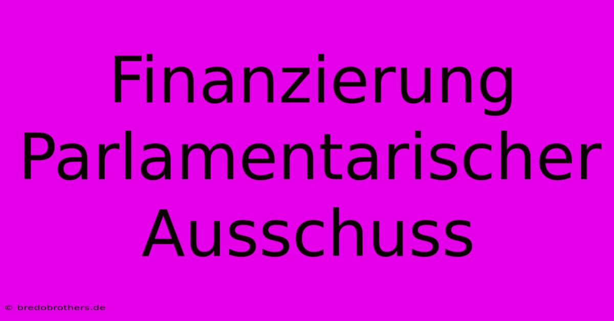 Finanzierung Parlamentarischer Ausschuss