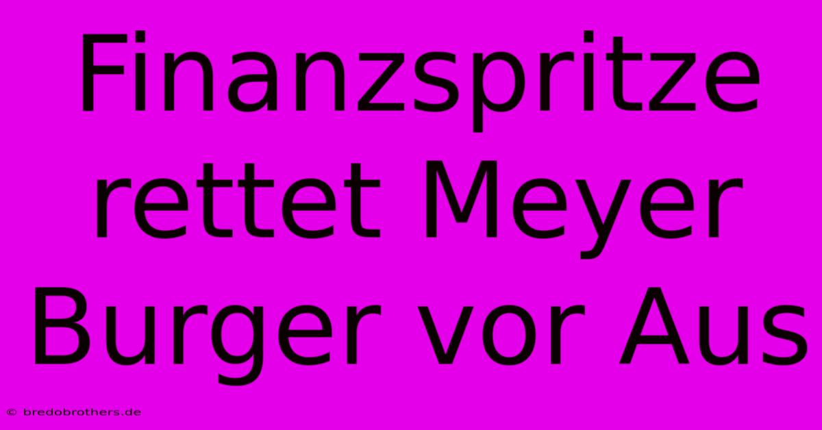 Finanzspritze Rettet Meyer Burger Vor Aus