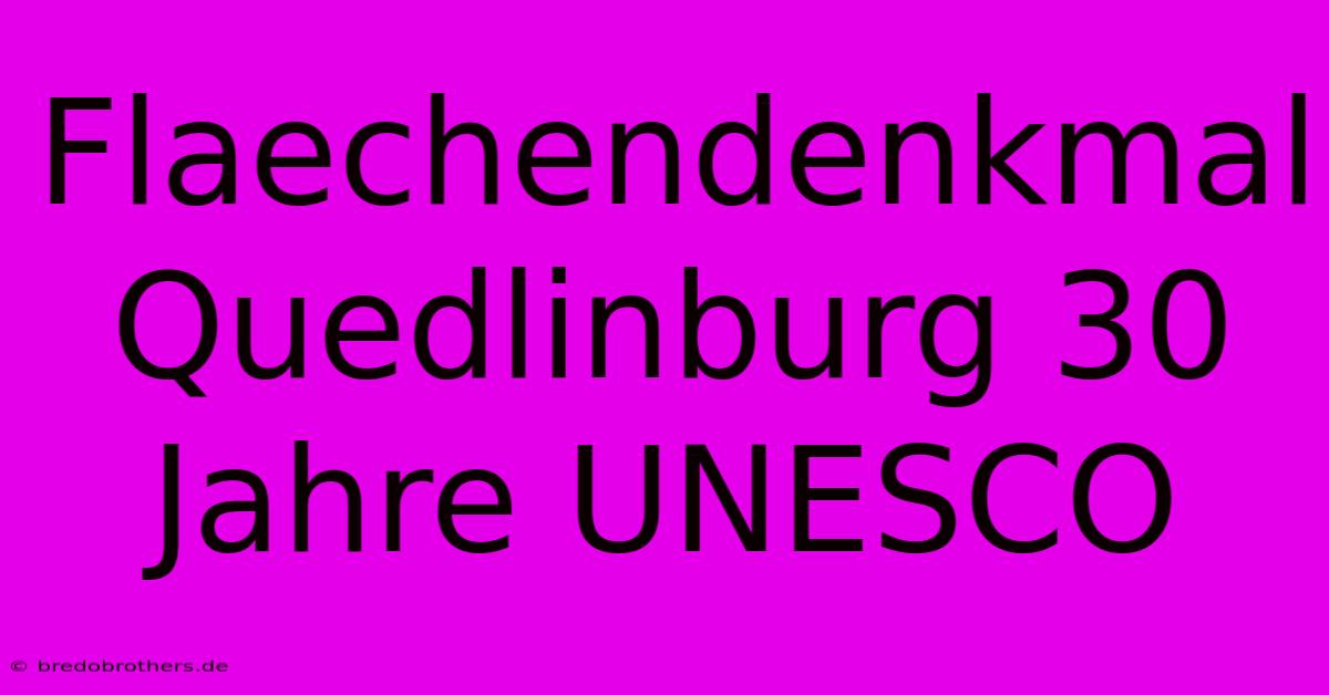 Flaechendenkmal Quedlinburg 30 Jahre UNESCO