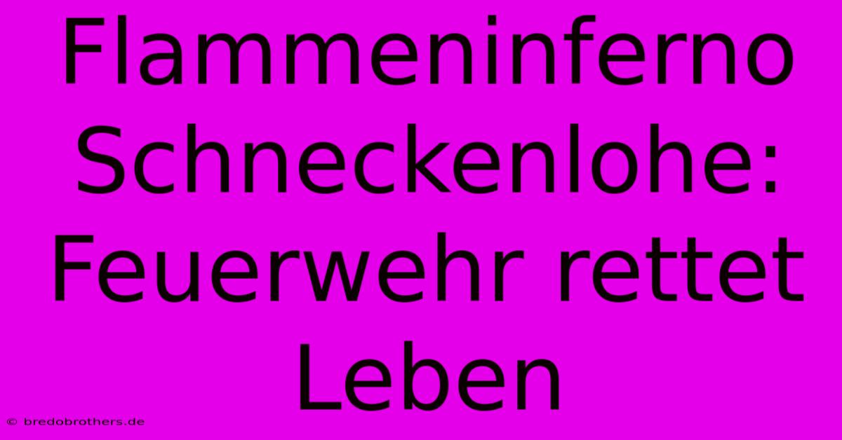 Flammeninferno Schneckenlohe: Feuerwehr Rettet Leben