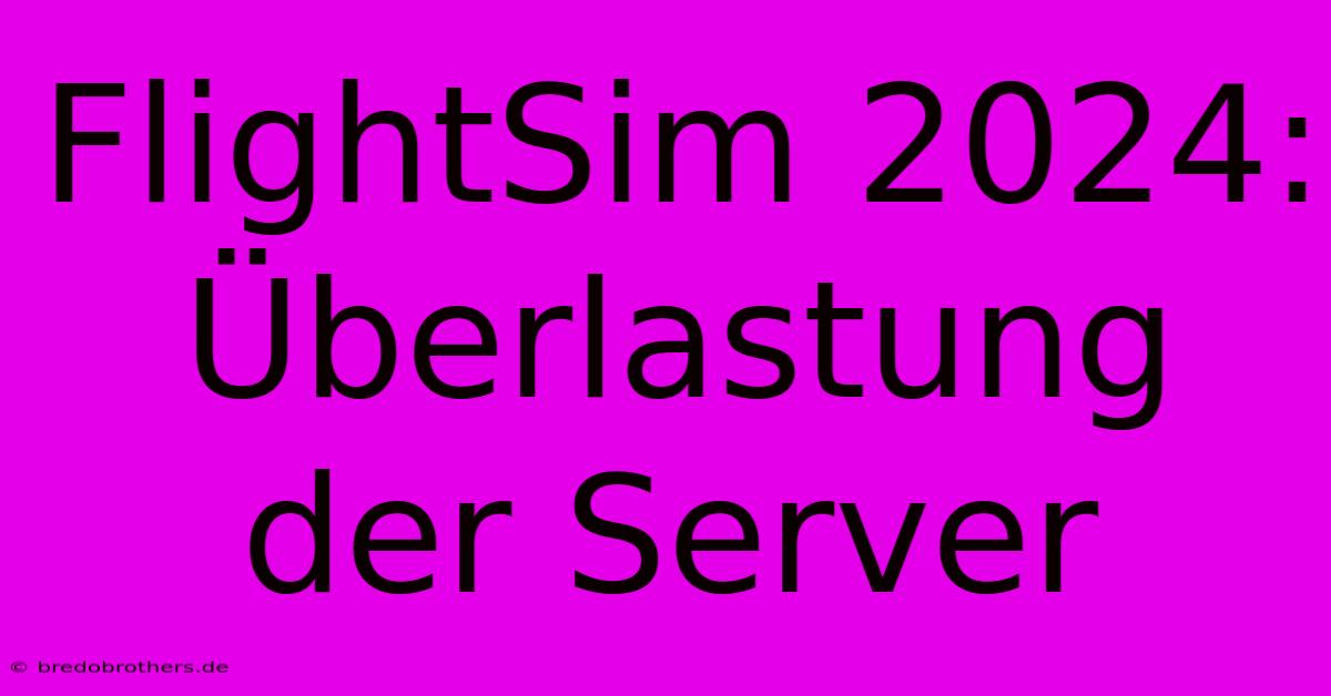 FlightSim 2024: Überlastung Der Server