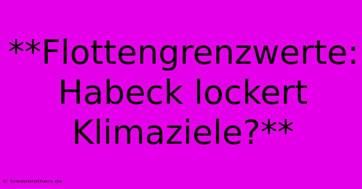 **Flottengrenzwerte: Habeck Lockert Klimaziele?**