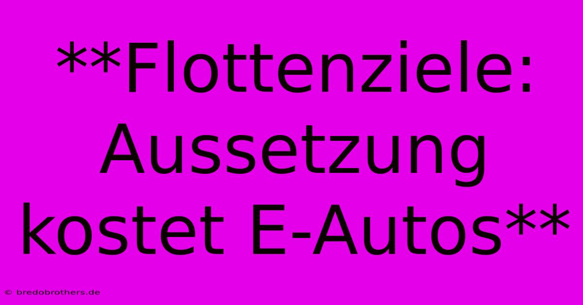 **Flottenziele: Aussetzung Kostet E-Autos**