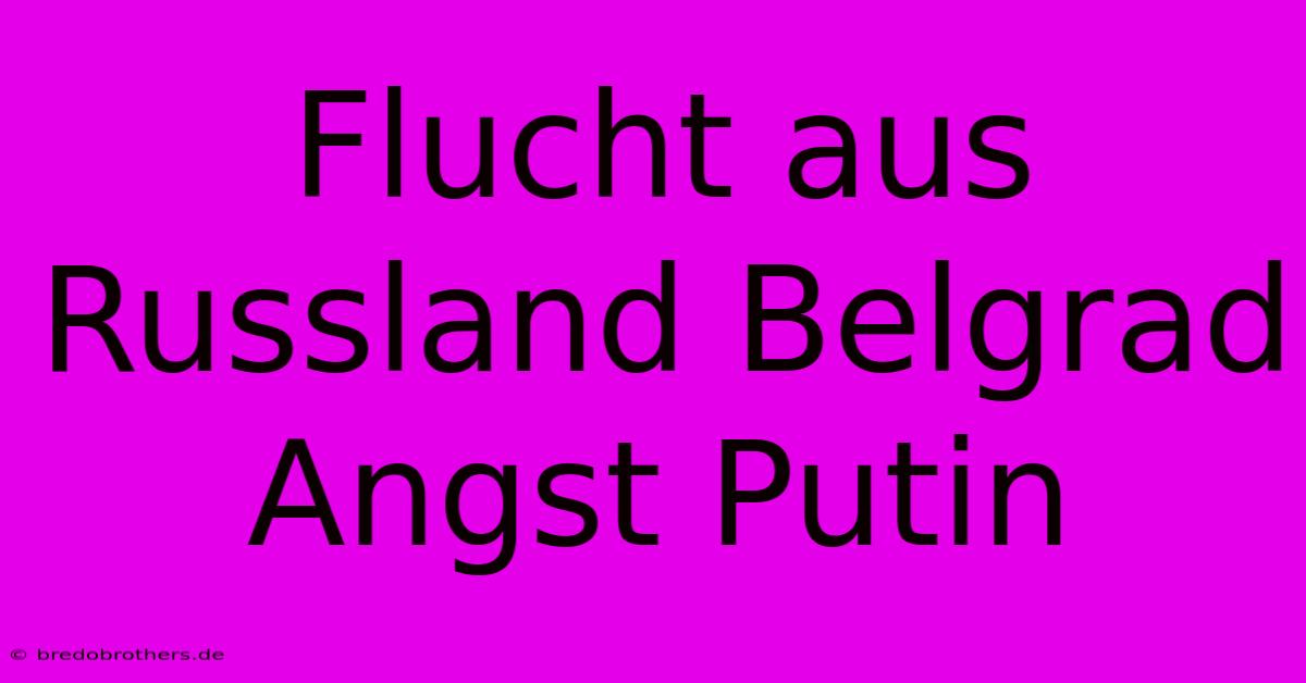 Flucht Aus Russland Belgrad Angst Putin