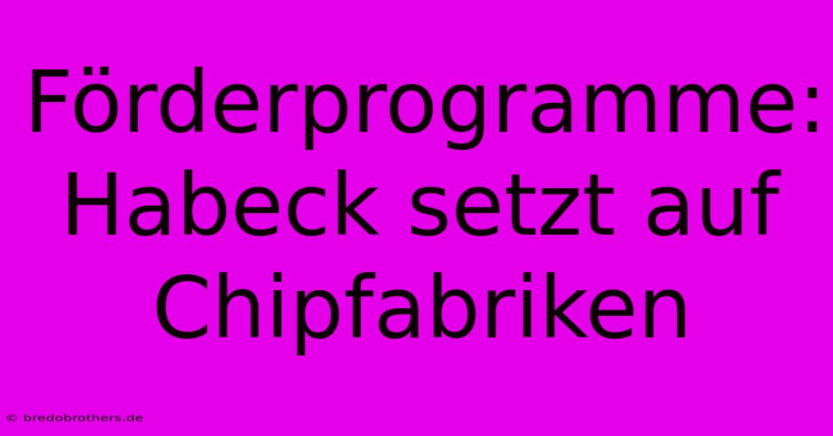 Förderprogramme: Habeck Setzt Auf Chipfabriken